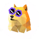 PolyDoge Cards