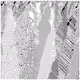 Cellular automata 2000