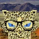 Kittiez Gone Wild