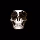 Vida Loca calaveras