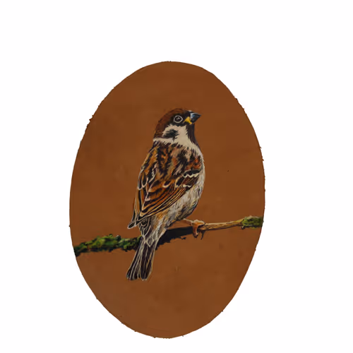 birds art