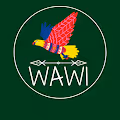 ART indigenous WAWI