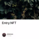 Entry NFT