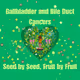 Gallbladder and Bile Duct Cancers