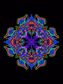 Hello Bloom