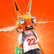 "BRUISER" - HPPRS Figurine (A)