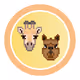 Raff & Paca