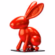 Rabbits by Groww Inc