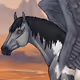 Equine Fantasy