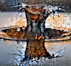 AI_Photography