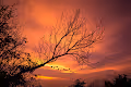 MaxCompose Photography Collection