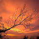 MaxCompose Photography Collection