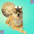 ShibaStars