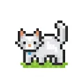 catsual