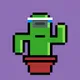 Polygon Cactus NFT