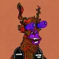 Lamas Head Nomad Crew