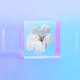 Airdrop Coffee