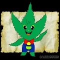 CANNABBIES