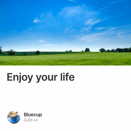 Enjoy your life