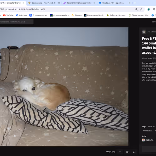 Simba ReFi Meme Token Network