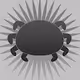 #WEB3SPIDERS