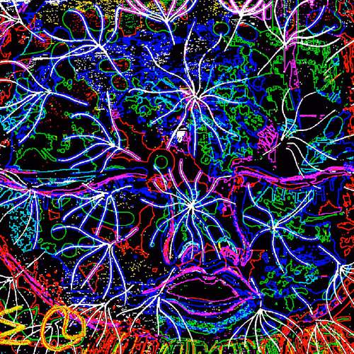 DANDELION'S-DREAM series