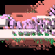 Gravity Glitch