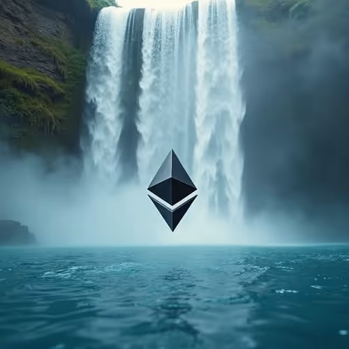 Taylor's Pool VIP Airdrops & Collectibles!