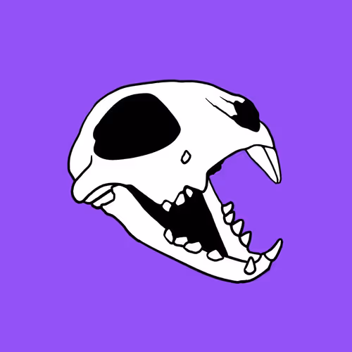 Polygon Rabbit Yeet Club