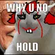 Just Cheap Cat Memes