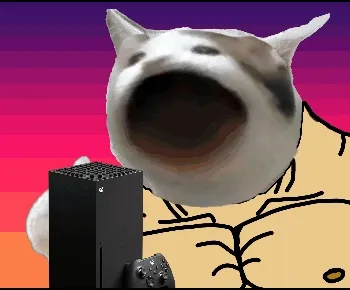 Just Cheap Cat Memes