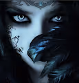 Live in The Dark