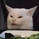 Catte