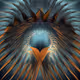 Metamorphosized