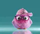 Cute Birds