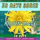 SOBER 30 DAYS - Sobriety Squad Token (from Sobriety Squad)