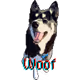 HSKY_