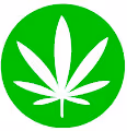 Pot Leaf