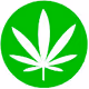 Pot Leaf