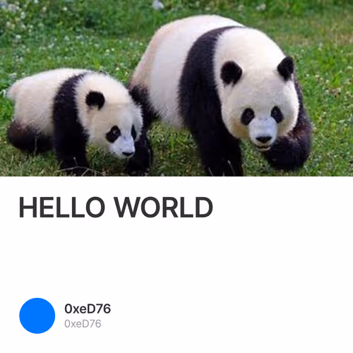 HELLO WORLD