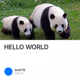 HELLO WORLD