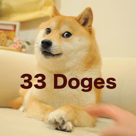 33 Doges