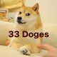 33 Doges