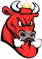 Weirdo Bulls