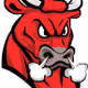 Weirdo Bulls