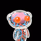 WHATS INSIDE THAT COUNTS by Toe_Day x Reddit Collectible Avatars