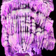 Ancient Jelly Fish