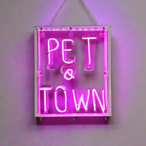 PetTownAI
