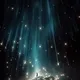 Fallen Star