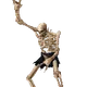 skeleton